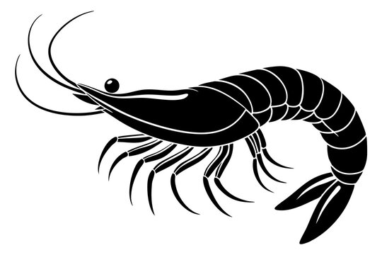 recommend clip art: shrimp vector silhouette, shrimp icon vector, Sea lobster	