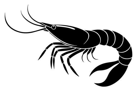 recommend clip art: shrimp vector silhouette, shrimp icon vector, Sea lobster	