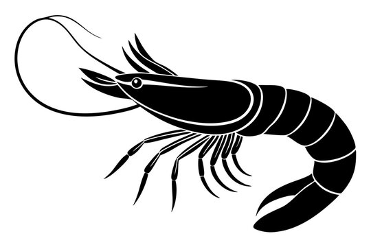 recommend clip art: shrimp vector silhouette, shrimp icon vector, Sea lobster	