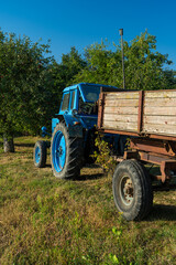 A blue, old tractor with a trailer stands near a field in the village. Morning