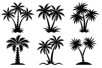 Fototapeta premium Simple Vector Palm Tree silhouette SVG icons and Beach Logo Designs in black and white and transparent background PNG file with Suns Clouds and Islands in the Ocean
