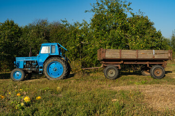Obraz premium A blue, old tractor with a trailer stands near a field in the village. Morning