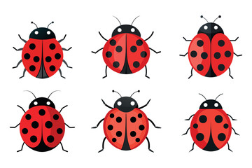 A set of  Ladybug