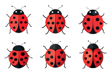 A set of  Ladybug