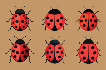 A set of  Ladybug