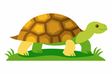 Leopard Tortoise in the grassland of savanna vector art on white background