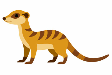 Meerkat of Savanna isolated on white background