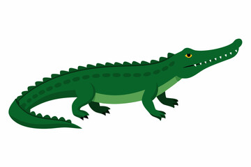 Nile Crocodile of Savanna vector art in white background