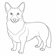 Pembroke Welsh Corgi dog vector line art in white background