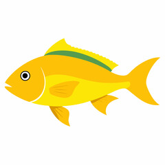 Yellow-tail Snapper fish vector artwork