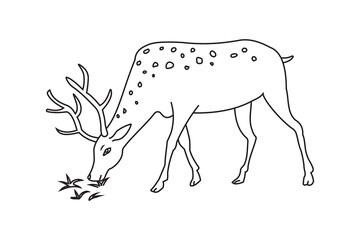 Sketch of a deer. Deer vector with stroke line, Deer Silhouette illustration. Silhouette of a line deer icon, vector, logo. Vector illustration.