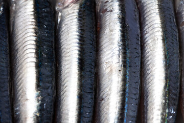 Boquerones