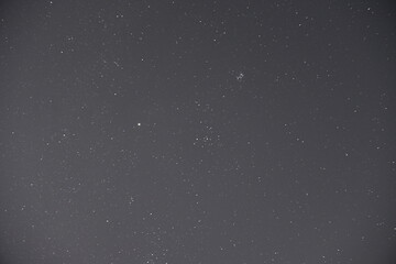 falling snow falling