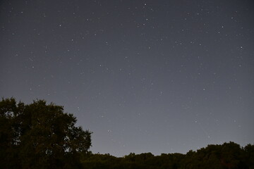 starry night sky