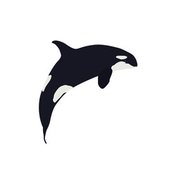 Killer whale on a white background. Marine animal. Vector illustration.