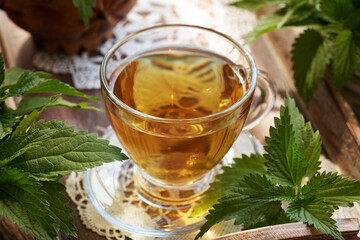 A cup of herbal tea with fresh stinging nettle leaves