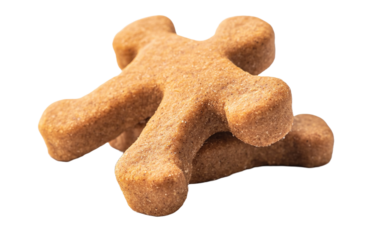 2 dog bone shaped dog treats on transparent background, png	
