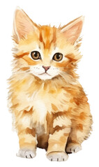 Obraz premium PNG Background cat painting animal mammal.