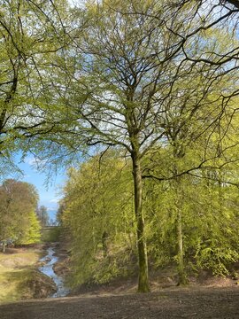 Marselisborg in the spring 