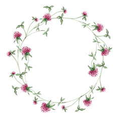 Wreath of red flower meadow, forest flowers. Watercolor hand painting botanical illustration on isolate. Chaplet or circlet of flowers with clover.