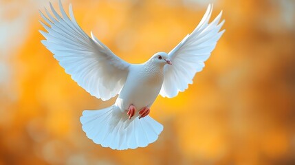 Obraz premium White Dove in Flight with Blurred Golden Background Generative AI