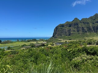 view of the coast of the sea