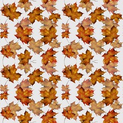 Patterns of autumn leaves arranged in a symmetrical design on a light background