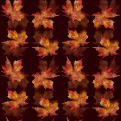 Autumn leaves pattern in vibrant colors against a dark background showcasing seasonal beauty