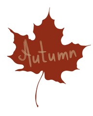Autumn leaf with the word autumn creatively integrated in a simple design on a white background