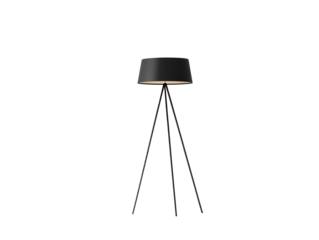 a lamp and a plant in a room