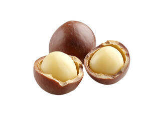 a macadamia nut with a white and yellow shell