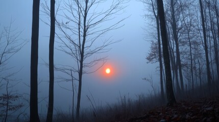 Fototapeta premium A breathtaking sunrise illuminates a foggy forest in Upstate New York, creating an ethereal and peaceful atmosphere. The rising sun casts a warm glow through the dense trees, symbolizing hope, renewal