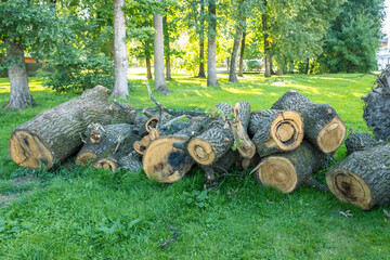 A pile of logs in a grassy field