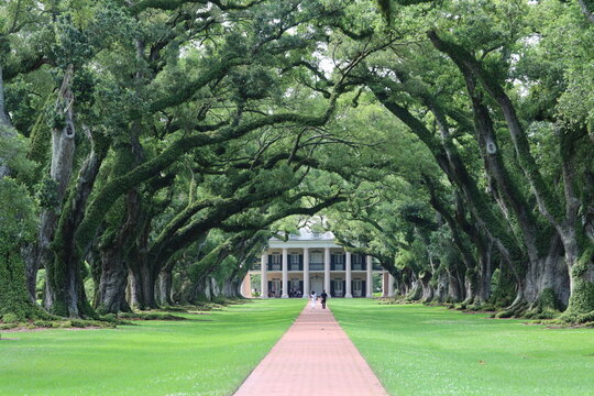 Oak Alley, Louisiana