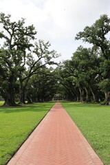 Oak Alley, Louisiana