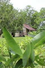 Laura Plantation, Louisiana