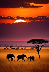 Fototapeta premium vibrant animal shapes silhouetted stunning sunset over savanna landscape, nature, wildlife, contrast, sky, horizon, evening, scenery, beauty, light, orange