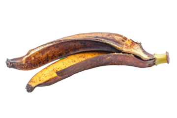 Two overripe bananas with brown and yellow skins shown on a white background. Suitable for images related to food waste, ripeness, and natural processes.