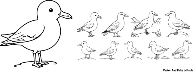 Seagull hand drawing coloring page and outline vector design