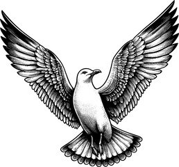 Seagull engraving vector design