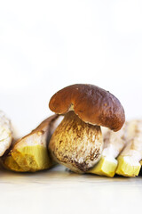 Closeup of fresh porcini mushrooms freshly picked and sliced. Boletus fungi foraged from the wild and ready for cooking on the white background. Copy space
