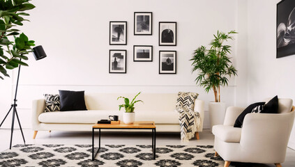 Modern minimalist living room with black-and-white decor and natural elements