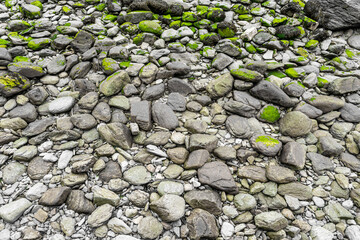 Bright green algae formed on grey rocks revealed when the tide is out. Background.