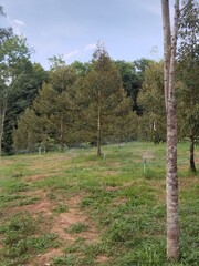 คิดถึงบรรยากาศที่เงียบสงบ