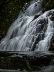 Fototapeta premium Circuito de cascadas en Chiriqui 