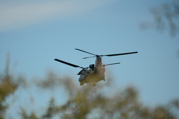 RAF Chinook Tandem Twin Rotor helicopter flying low in a blue sky