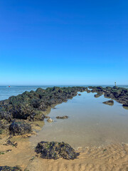 Knokke-Heist, Flanders, Belgium - June 24, 2024: Breakwater pier in North Sea starting from beach looking at North Sea horizon under blue morning, sky