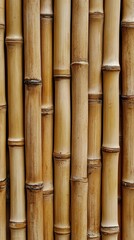 Fototapeta premium Beautiful bamboo wood stems. World bamboo day. Bamboo fence background texture