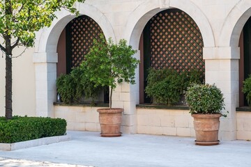 Naklejka premium Terracotta potted plants by arched windows and lattice