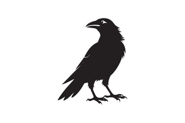 Crow silhouette vector illustration,